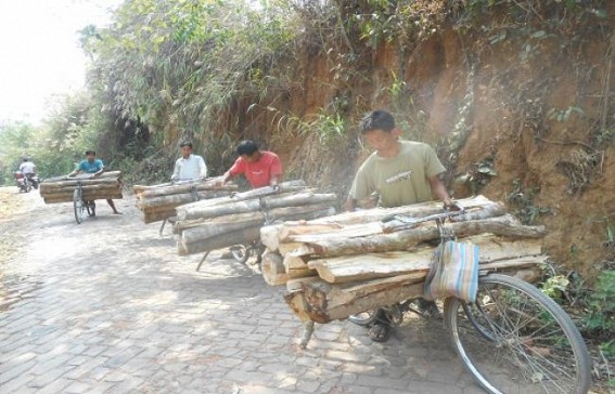  Govt'S forest is being robbed openly by the local people in Khowai